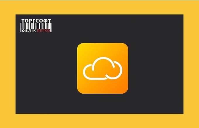 Torgsoft-Hybrid Installation and Setup