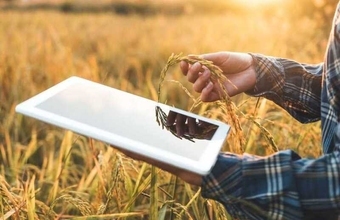 Piața agricolă ucraineană: tendințe și provocări în 2024