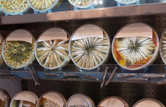 Найнезвичніші ідеї для бізнесу в Україні