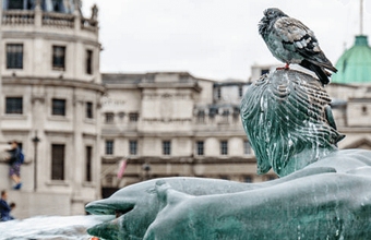 Lucrul cu recenzii: cum să transformi plângerile în loialitate?