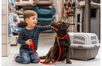 Deschidem un magazin de animale de companie  în Ucraina?