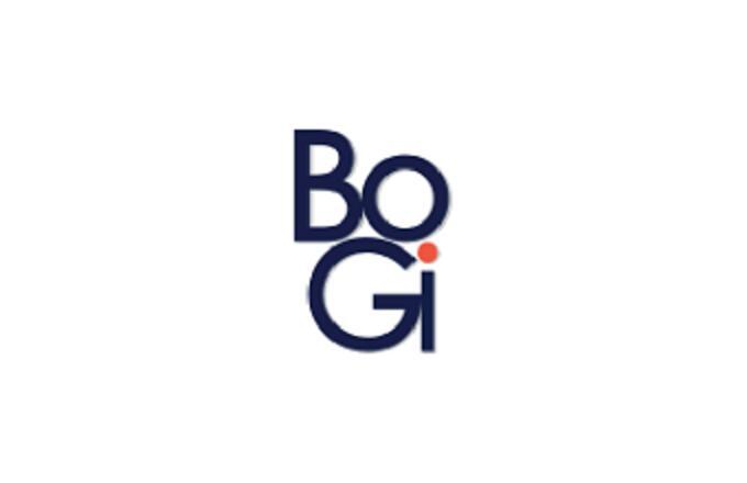 Компанія Bogi