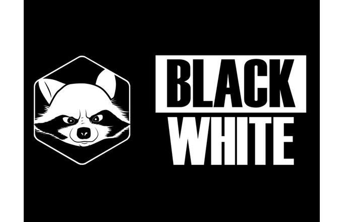 Web Studio Black&White