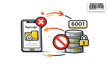 The mobile application does not connect to the database - port 6001