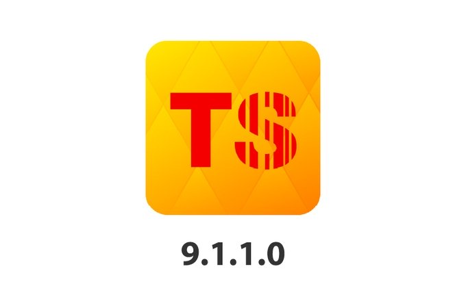 Changing the version of Torgsoft 9.1.1.0