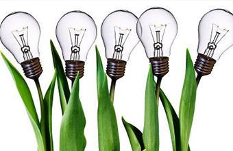 Nápady pre podnikanie: učíme sa od podnikateľov z USA