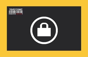 How to change the password in a Torgsoft accounting program?