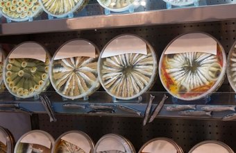 Najneobvyklejšie nápady na podnikanie na Ukrajine