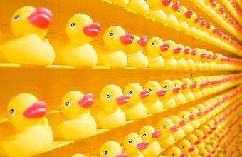 Декретні виплати ФОП: як оформити та розрахувати