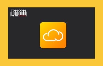 Torgsoft-Hybrid Installation and Setup