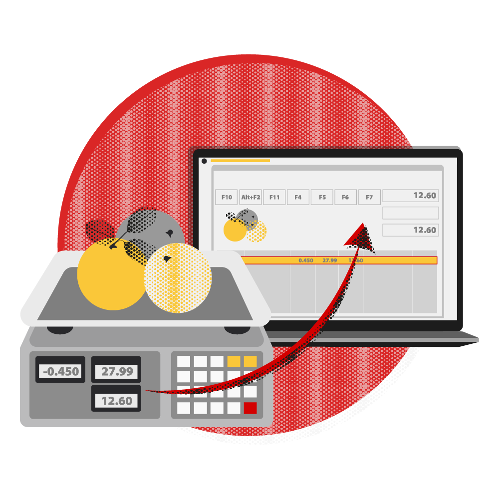 Connecting Electronic Scales
