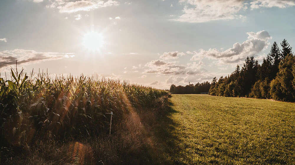Tendințe regionale și riscuri pentru agricultori
