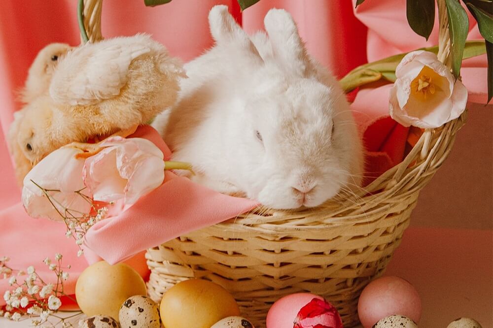 Товари до Великодня 2023