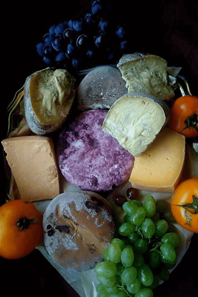 Органічна ферма &laquo;Ліхтенфельд&raquo;