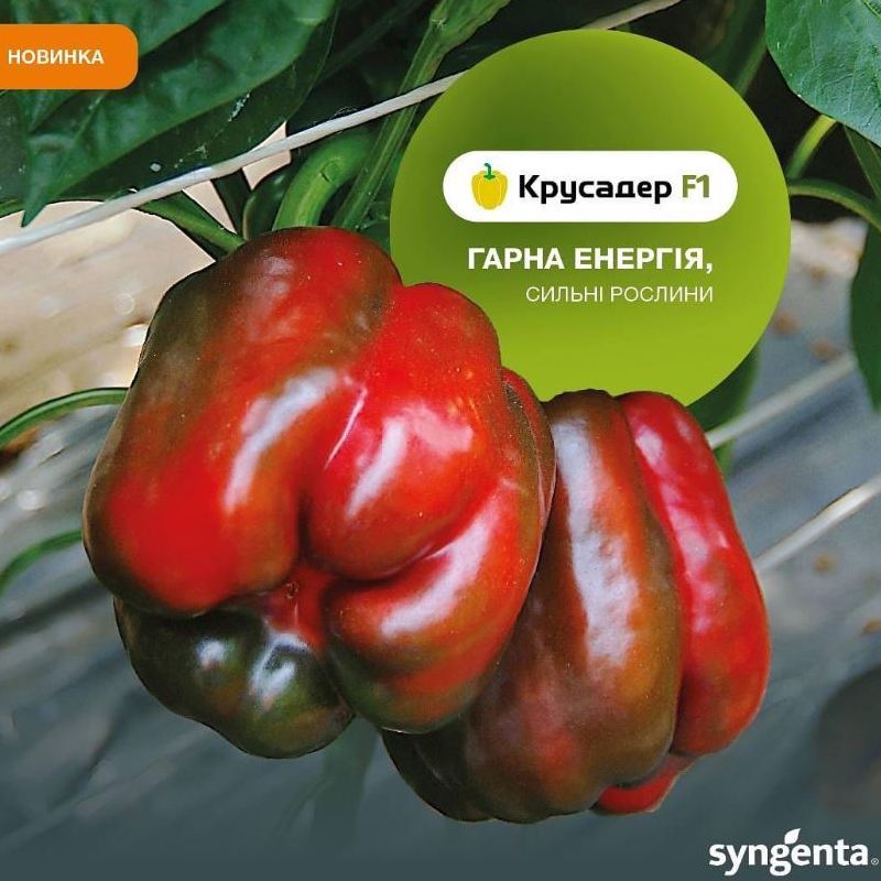 аграрна продукція магазину Пан Фермер