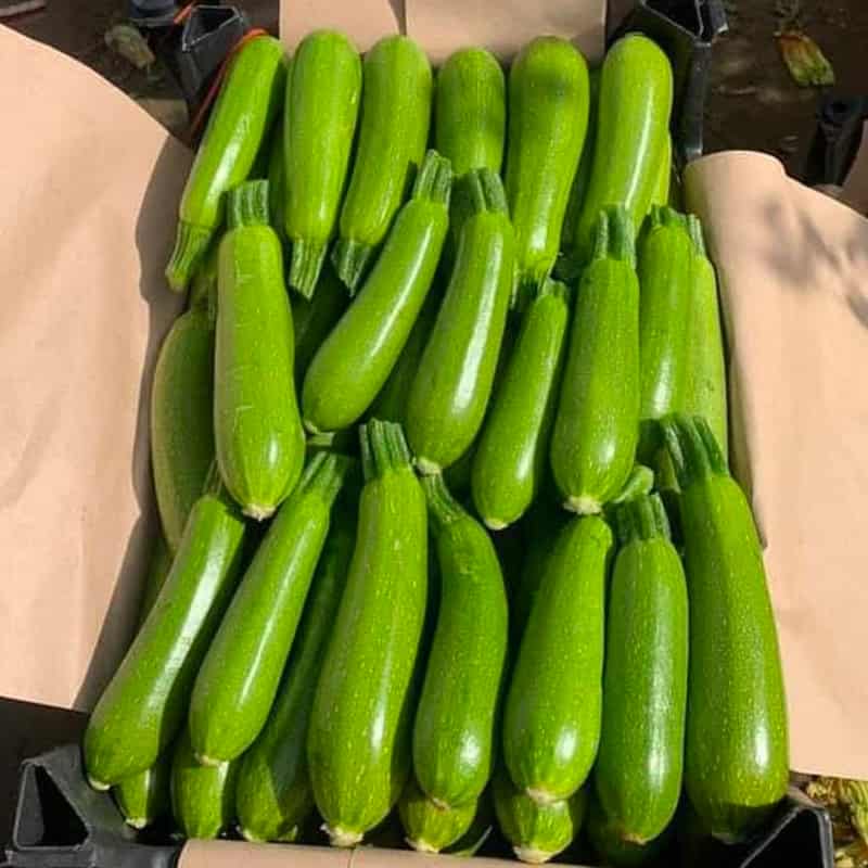 аграрна продукція магазину Пан Фермер