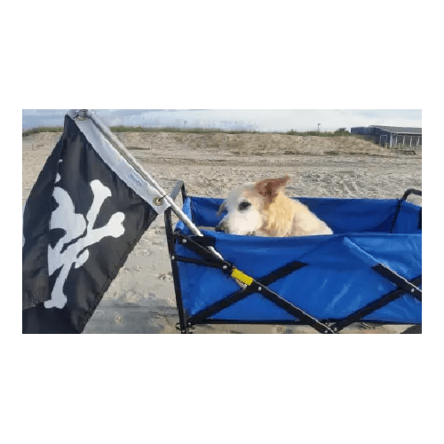 Universal wheelbarrow