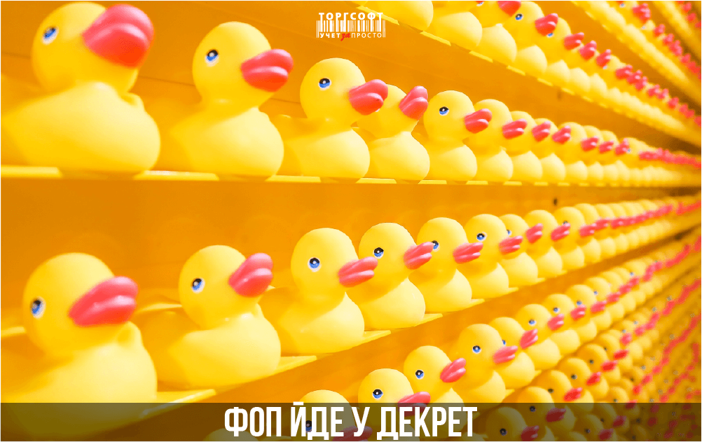 Matersk&aacute; dovolenka SZČO | Torgsoft