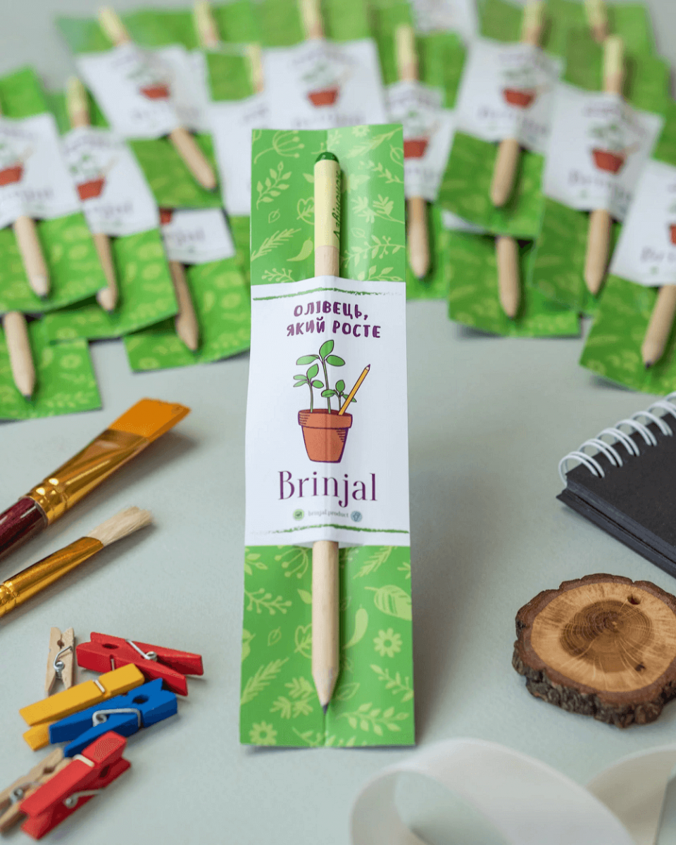 Podnikateľsk&yacute; n&aacute;pad: pestovanie rastl&iacute;n z ceruziek