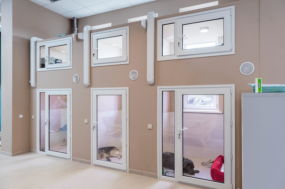 Бізнес-ідея: готелі для тварин