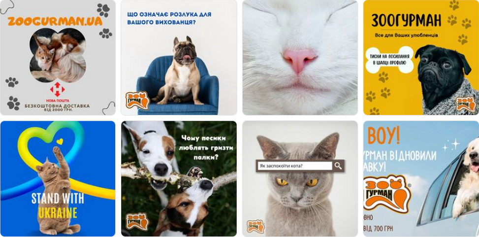 Magazin online "Zoogurman"