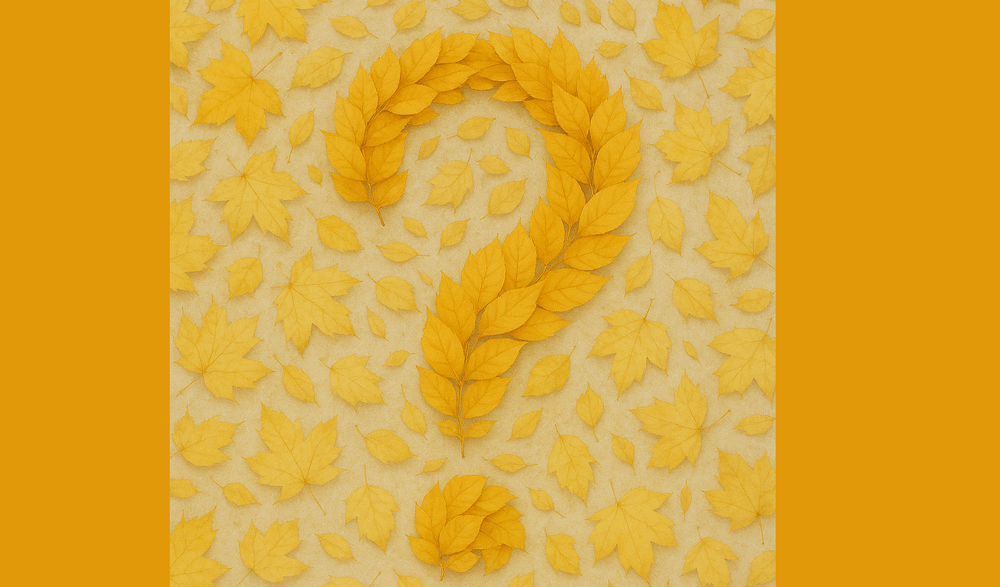 Қыркүйектегі сатып алушы психологиясы