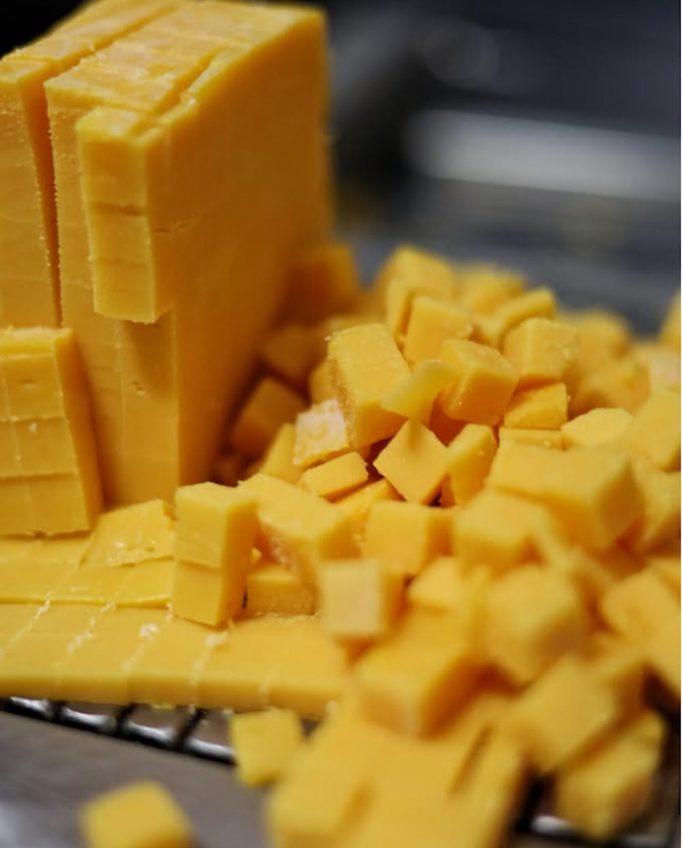 Bile de br&acirc;nză