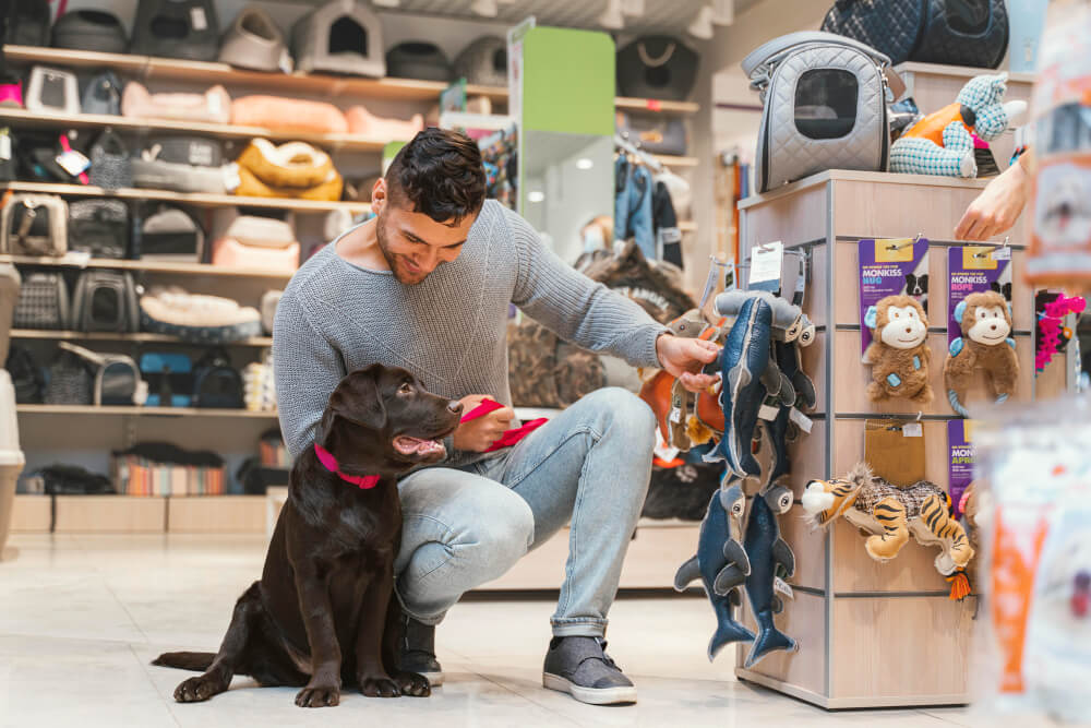 What tasks does the program for pet stores solve